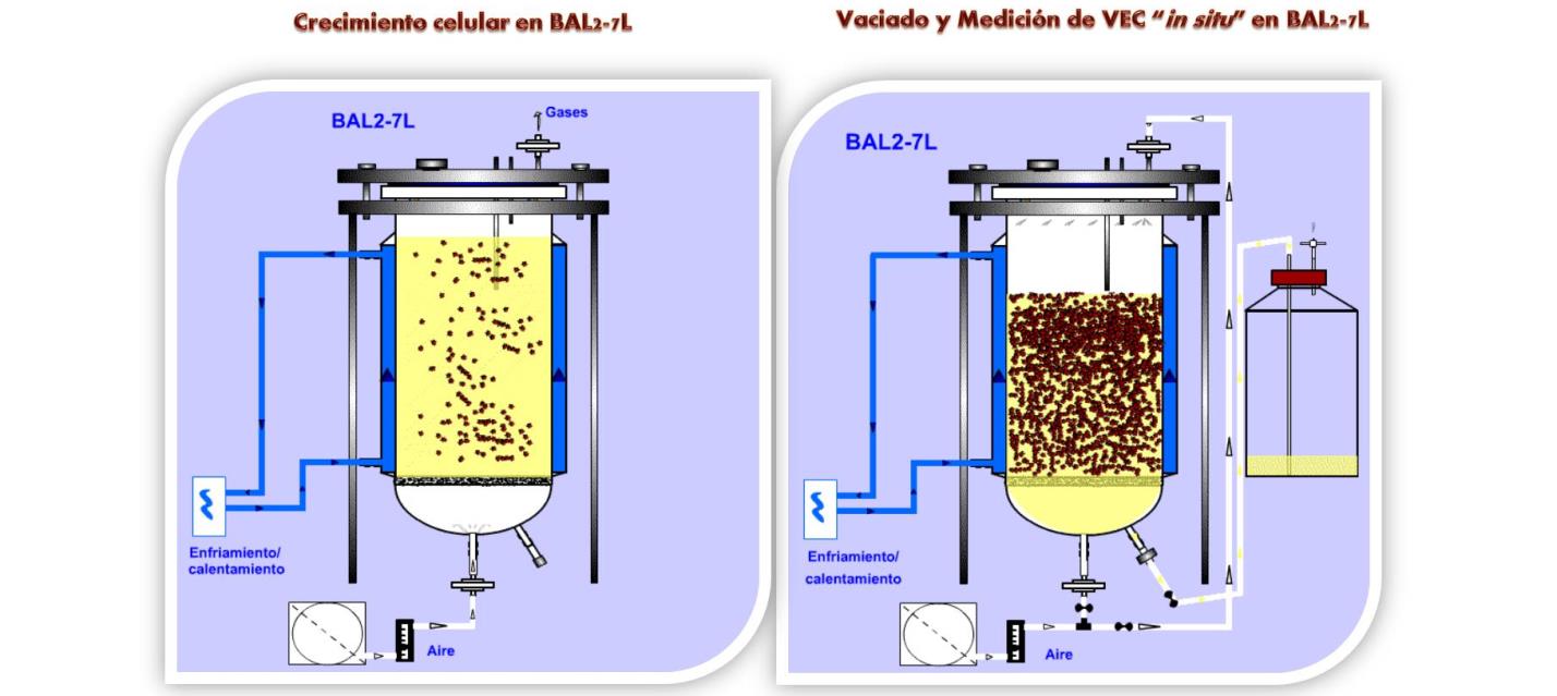 New bioreactor for growing plant cell culture in suspension