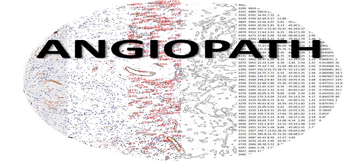 Angiopath: A tool to quantify and morphologically characterize blood and lymph vessels